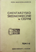 Cmentarzysko średniowieczne w Cedyni