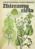 Zbieramy zioła