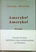 Ameryko Ameryko