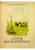 Latem na pastwisku