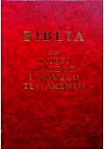 Biblia to jest Księgi Starego i Nowego Testamentu