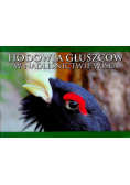 Hodowla głuszców w nadleśnictwie Wisła
