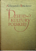 Dzieje Kultury Polskiej tom 2