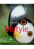 Motyle