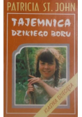 Tajemnica Dzikiego Boru