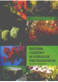 Drzewa i krzewy w ogrodzie przydomowym
