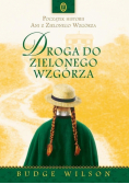 Droga do Zielonego Wzgórza