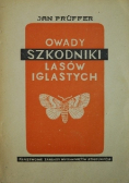 Owady szkodniki lasów iglastych