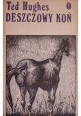 Deszczowy koń
