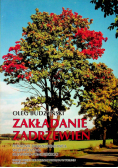 Zakładanie zadrzewień