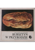 Bursztyn w przyrodzie