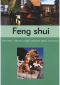 Feng shui Mieszkać zdrowo dzięki chińskiej teorii harmonii