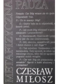 Metafizyczna pauza