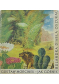 Jak górnik Bulandra diabła oszukał Baśnie