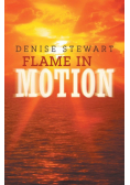 Flame in Motion