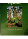 Wdecki Park krajobrazowy