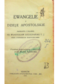 Nowy Testament Ewangelie i Dzieje apostolskie 1917 r.