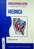 Anatomia prawidłowa człowieka miednica