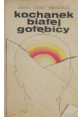 Kochanek białej gołębicy