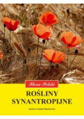 Rośliny synantropijne