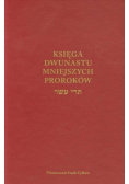 Księga Dwunastu Mniejszych Proroków