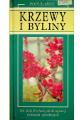 Krzewy i byliny