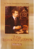 Święty Zygmunt Szczęsny Feliński Młodość