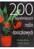 200 najpiękniejszych roślin doniczkowych