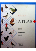 Atlas ptaków chronionych i łownych
