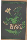 Zbierajmy zioła