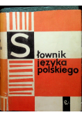 Słownik języka polskiego tom 11