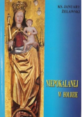 Niepokalanej w hołdzie autograf autora