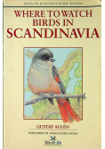 Where to watch birds in Scandinavia