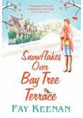 Snowflakes Over Bay Tree Terrace