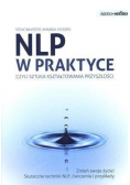NPL w praktyce czyli sztuka kształtowania przyszłości