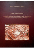Planigrafia materiału zabytkowego z osady podgrodowej wczesnośredniowiecznego Gdańska