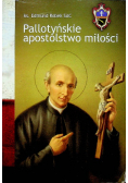 Pallotyńskie apostolstwo miłości
