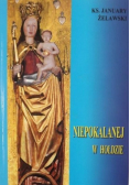 Niepokalanej w hołdzie