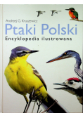 Ptaki Polski  Encyklopedia ilustrowana