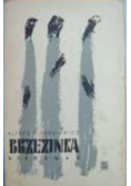 Brzezinka birkenau