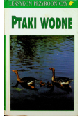 Ptaki wodne