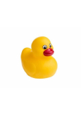 Kaczka do kąpieli