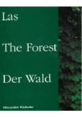 Las The Forest Der Wald