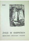 Żydzi w Karpatach