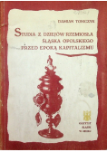 Studia z dziejów rzemiosła Śląska Opolskiego przed epoką kapitalizmu