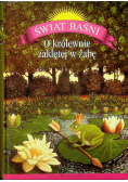 O królewnie zaklętej w żabę