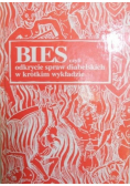 Bies czyli odkrycie spraw diabelskich w krótkim wykładzie