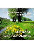Wierzby wielkopolskie