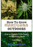 How To Grow Marijuana Outdoors