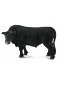 Byk czarny angus